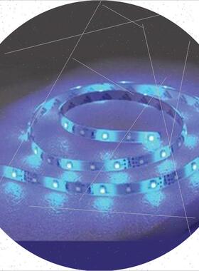 议价T-H Marine Led 绳灯 22 英尺蓝色 LEDSM22B