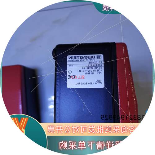 议价博恩斯坦Bernstein原装脚踏开关F2-U1Z/U1Z