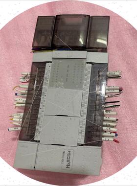 议价释迦自动化维控plc模块维控PLC LX5V-2416MT-