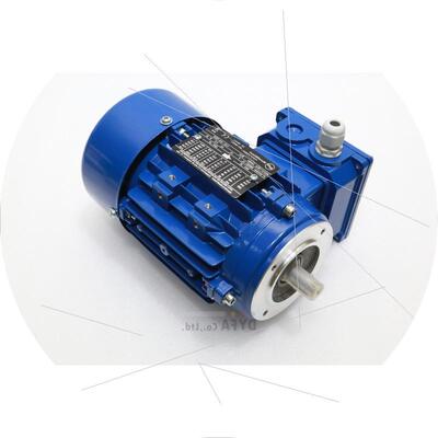 议价MarelliMotor NIB MOT.3~MAA 63MB4 AC Servo Motor MOT-议价