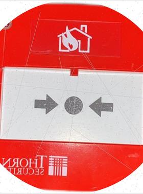 议价Tyco WCP6B-RC13SG  CP830M A型手报现货议价