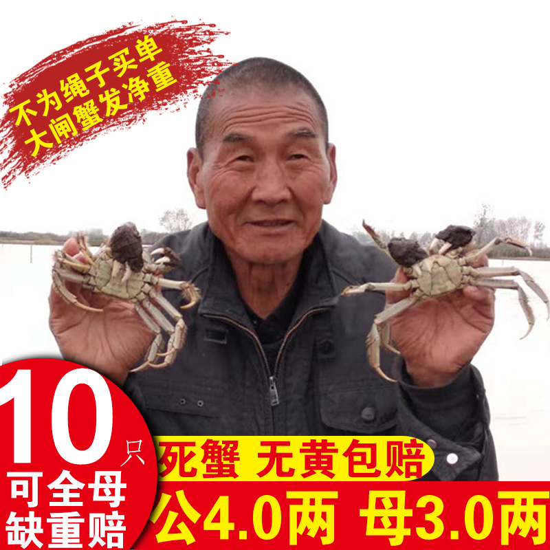 大闸蟹礼盒装10只净重包邮