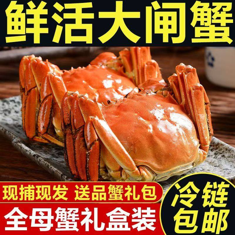 现货鲜活大闸蟹公母螃蟹生鲜海鲜水产礼盒6/12只装江苏霸王蟹净重