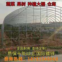 大棚钢管骨架蔬菜保温养殖种植简易塑料温室棚椭圆管连栋大棚定制