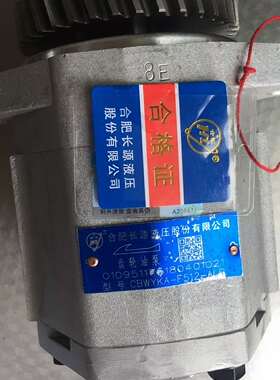 原装合肥液压齿轮油泵CBWYKA-F512-ALP液压泵合液牌油泵总成配件