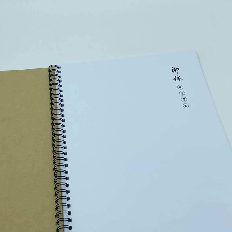 （定制字帖）柳体楷书 2500常用字唐诗宋词精选 硬笔钢笔字帖