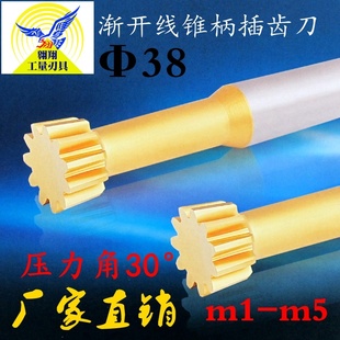 浙江正富齿轮刀具分度圆直径38 压力角30°m1-m5渐开线锥柄插齿刀