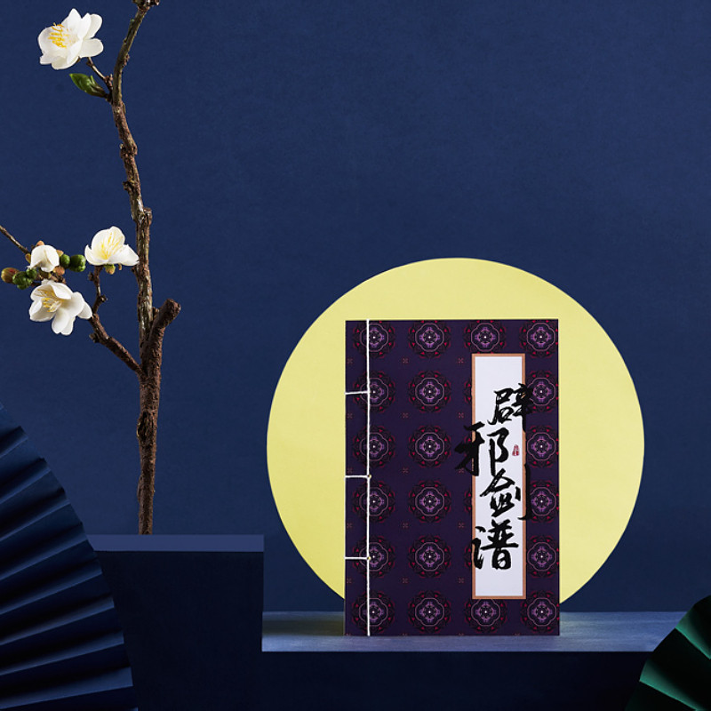 金庸武侠小说图书周边 辟邪剑谱·金庸武侠线装笔记本 原创 武林武功