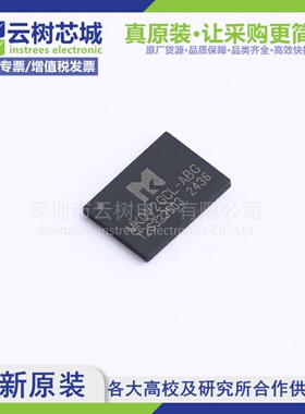 原装正品 MKDV2GCL-ABG LGA-8 2Gbit NAND FLASH存储器