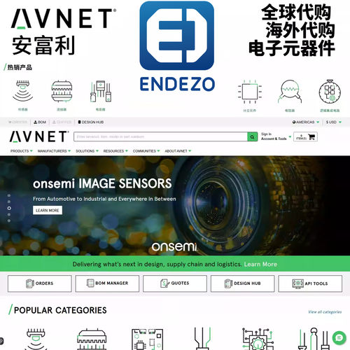 Avnet 安富利电子 全球购海外代购电子元器件集成IC芯片 专业代购