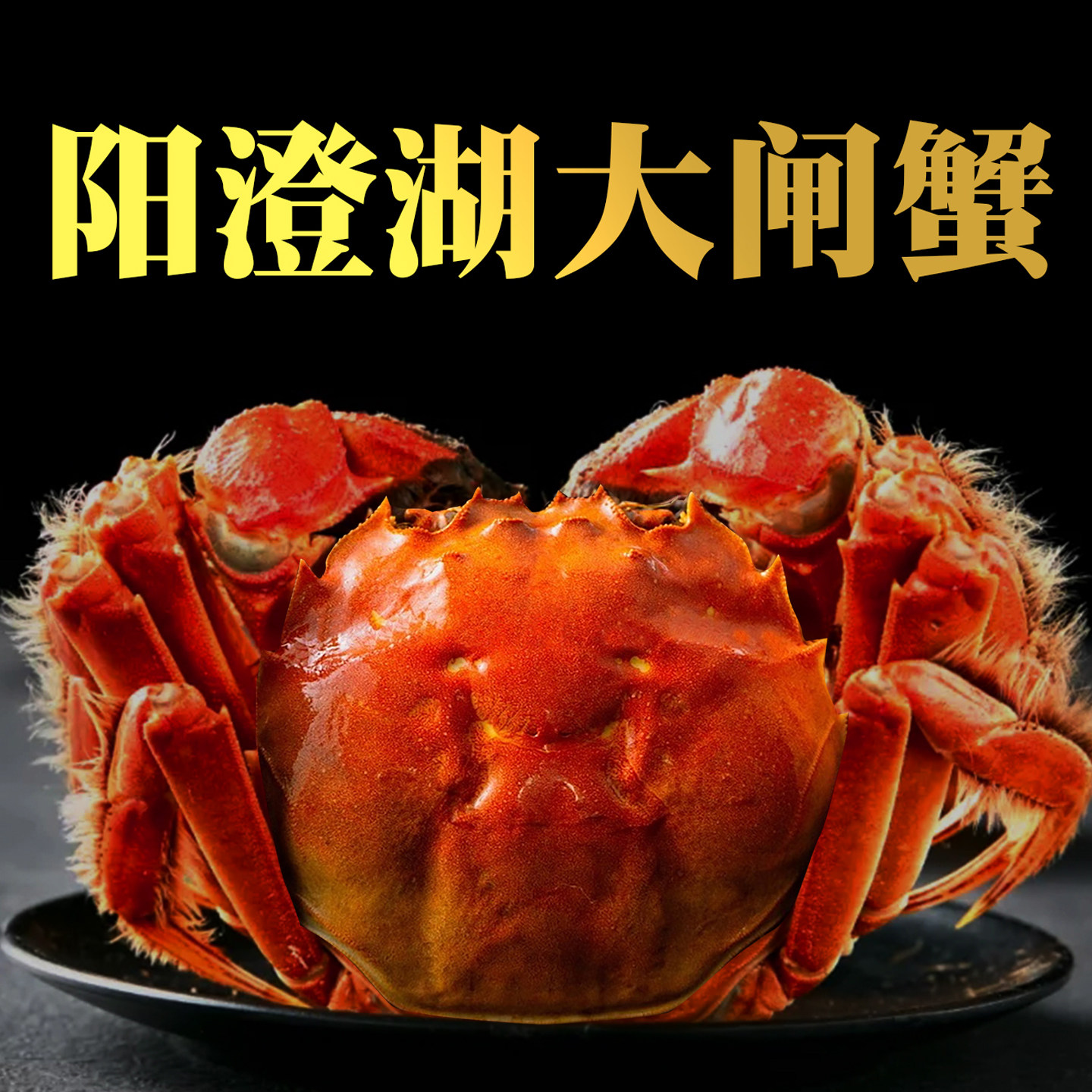 正宗阳澄湖大闸蟹礼盒螃蟹鲜活大闸蟹螃蟹全母蟹大闸蟹官方旗舰店