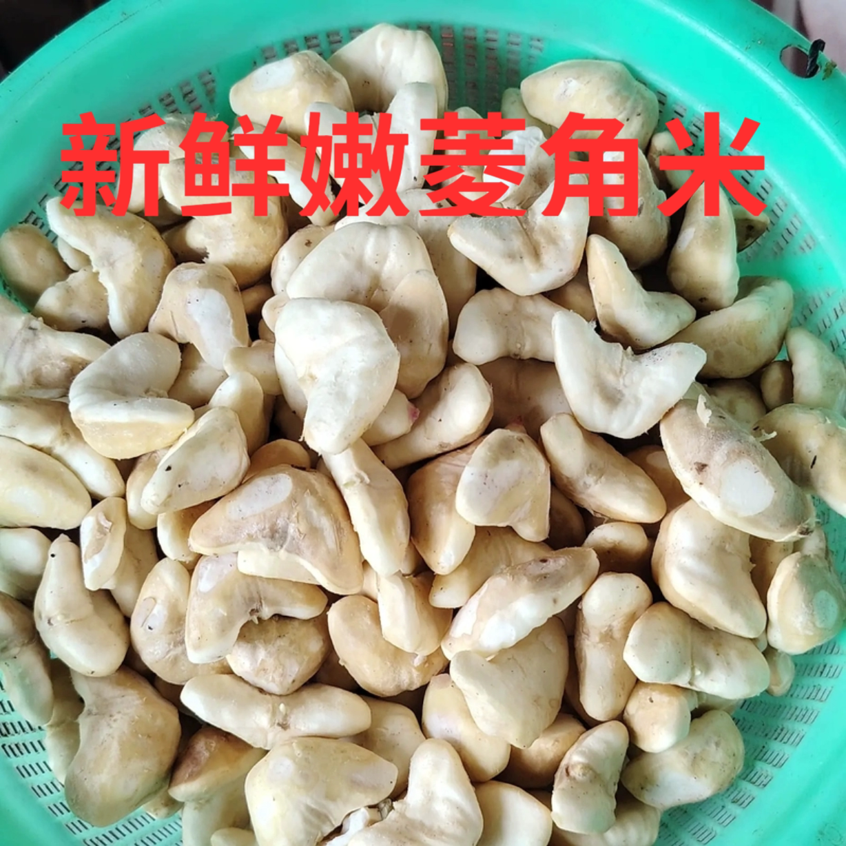 湖北洪湖特产嫩菱角米 新鲜嫩菱菱角