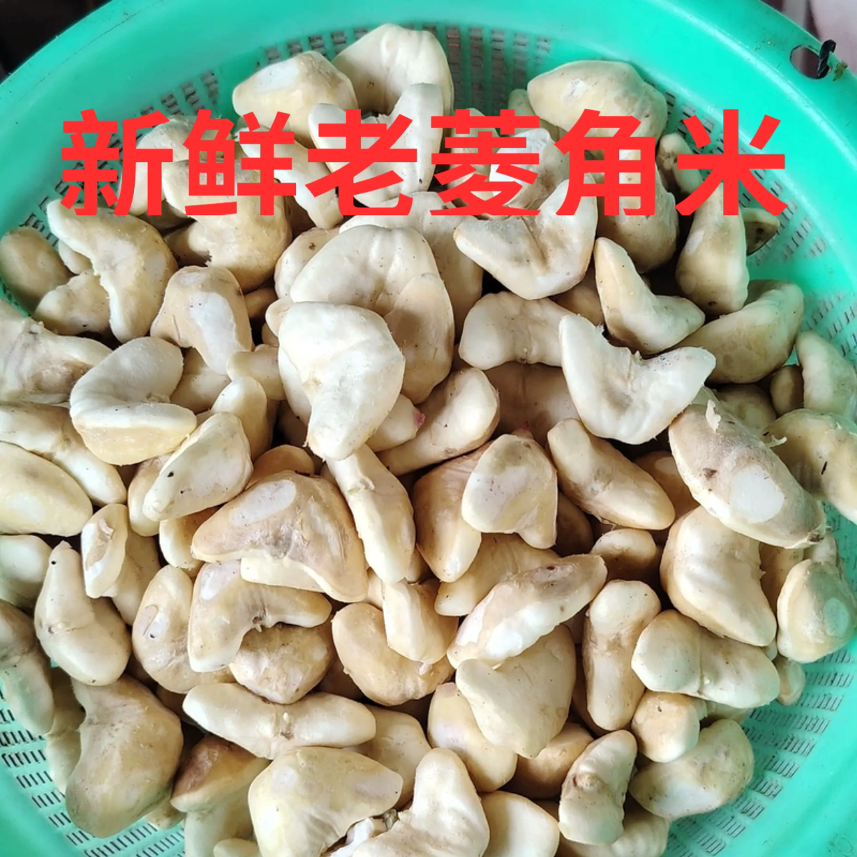 新鲜去壳米青真空冷冻蔬菜菱角