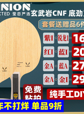 莹恋LOKI雷神锐龙9纯木 PRO快攻型外置碳素纤维乒乓球底板球拍