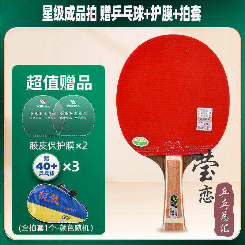 莹恋友谊729经典乒乓球拍成品拍图片