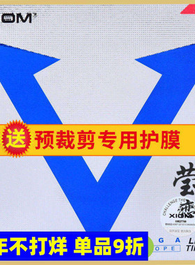 莹恋 XIOM骄猛 蓝V升级DF乒乓球胶皮球拍套胶唯佳欧洲79-008正品