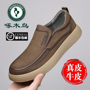 一脚蹬豆豆鞋 啄木鸟男鞋 软底透气轻便爸爸鞋 男士 真皮商务休闲皮鞋