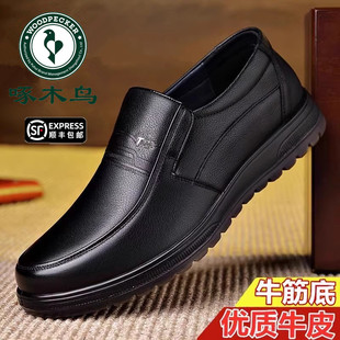 啄木鸟男鞋牛筋底加绒棉皮鞋男真皮商务休闲鞋子男防滑软底爸爸鞋