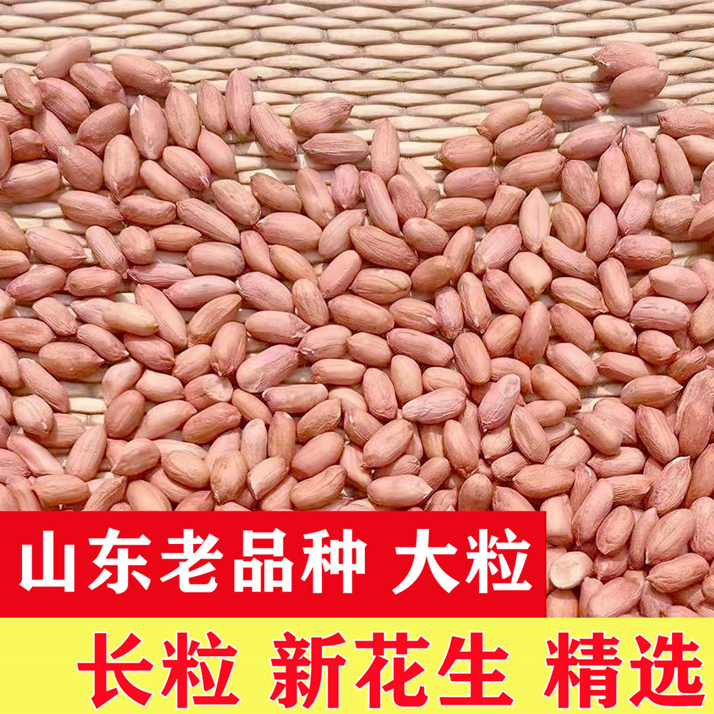 山东威海花生米2026年大粒新货生新粉红皮乳山干生花生榨油原料