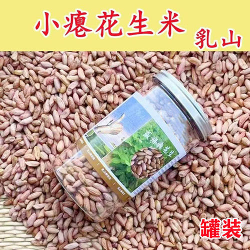 威海罐装25年新瘪花生米生新花生小粒生花生仁秕子零食商用批发