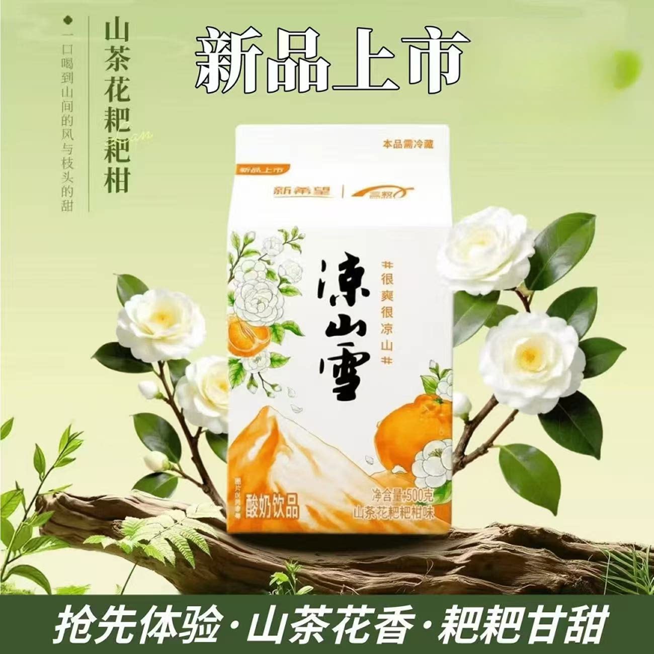 四川西昌火把节凉山雪乳酸菌酸奶饮料山茶花耙耙柑500g*6礼盒装