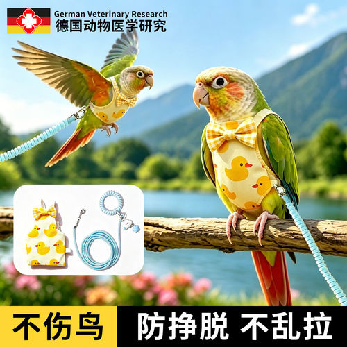 【遛鸟神器】鹦鹉牵引绳屎兜