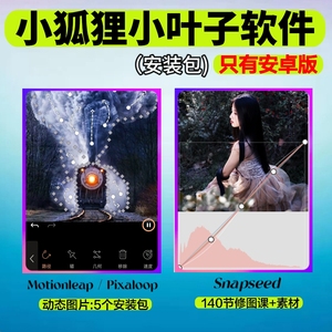 小狐狸motionleap小叶子snapseed软件安装包苹果pixaloop动态风景