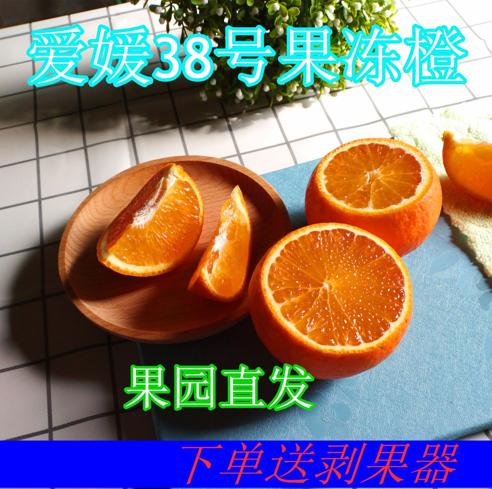 眉山特产爱媛38号果冻橙,手剥新鲜水果8斤大果包邮.果农现摘现发