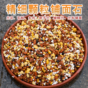 兰科植物铺面石多肉植物铺面土专用铺面颗粒促芽保湿透气干净美观