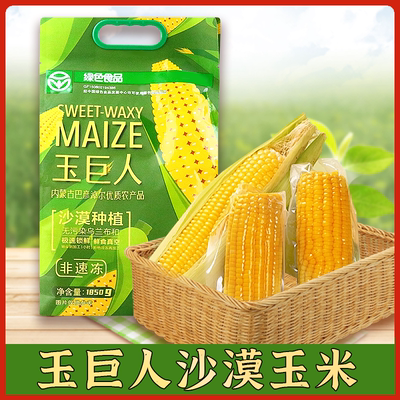 沙漠玉米粗粮甜糯鲜内蒙古