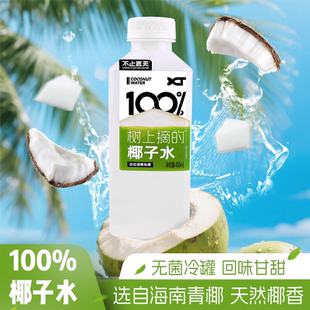清爽補水椰青水椰子汁果汁飲料 不止夏天100%椰子水海南青椰夏季