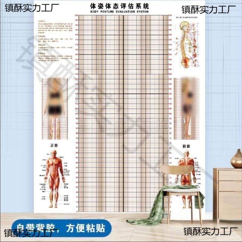 体脂图墙贴姿势体态评估表体测体位馆健身房图瑜伽纸网格体姿私教