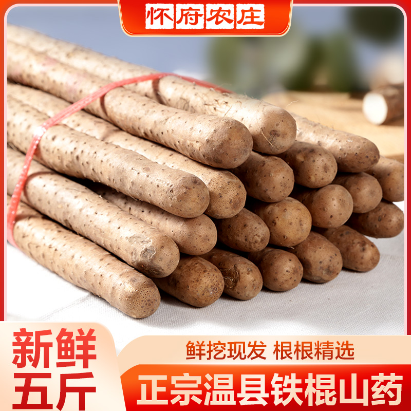 正宗温县铁棍山药5斤河南省焦作正宗新鲜淮山怀山药铁杆山药直销