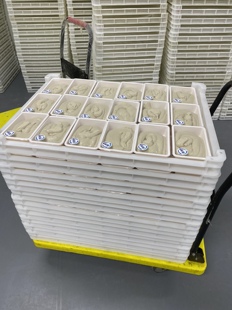 新鲜纯鲅鱼馅儿2斤无添加胶东鲅鱼新鲜饺子馅海鲜水饺新鲜鲅鱼馅