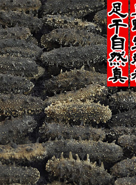威海纯淡干海参霖成道0添加无盐