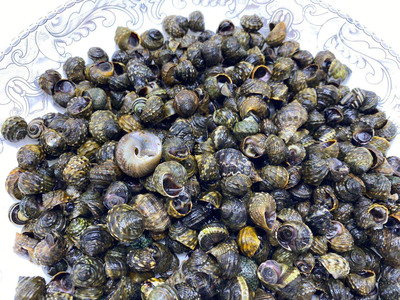 霖成道威海海鲜新鲜海捕香豆