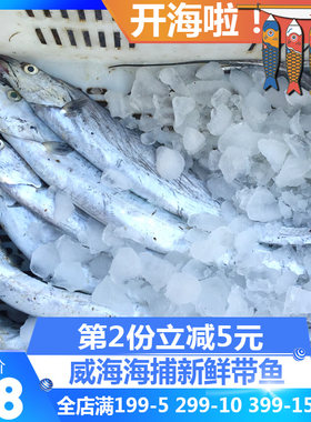 渤海湾带鱼小眼鲜带鱼威海海鲜