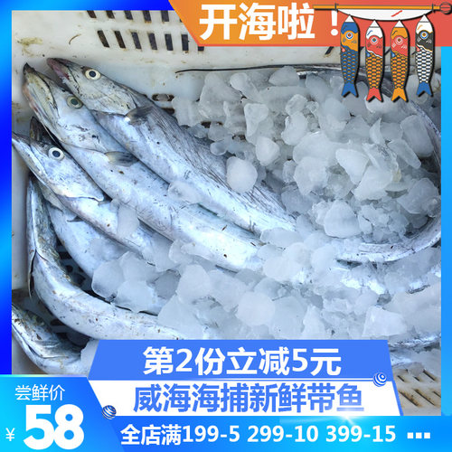 威海海鲜威海本地小黑眼新鲜带鱼整条非南方货网捕带鱼渤海湾海鱼 - 封面