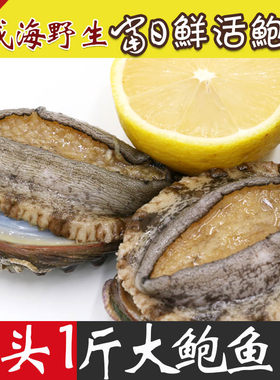 鲍鱼海鲜威海产肉大鲜