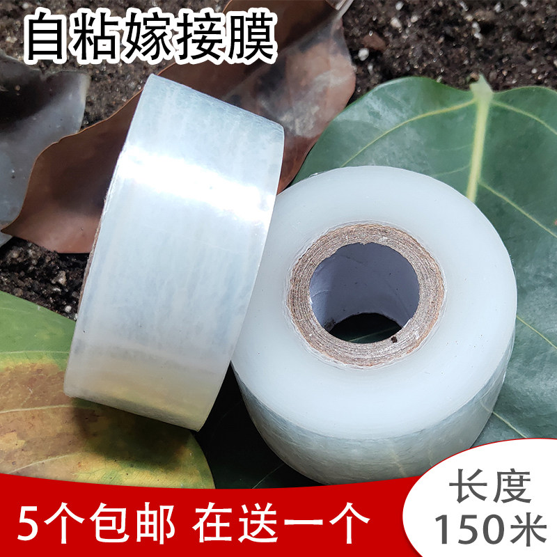 果树嫁接专用膜自粘免打结嫁接薄膜透明塑料条4 5cm苗木植物3缠绕