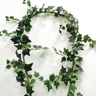 仿真常春藤绿萝壁挂藤条管道缠绕背景道具绿藤蔓植物叶子婚庆装 饰