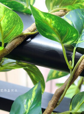 仿真万年青藤蔓绿叶壁挂管道缠绕