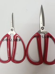 不锈钢家用剪刀工具剪小剪刀手工剪纸剪线头剪厨房常用尖头缝纫剪