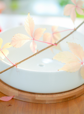 简约白色创意多肉陶瓷浅圆形配zakka盆栽花盆竹托套装 家居饰品