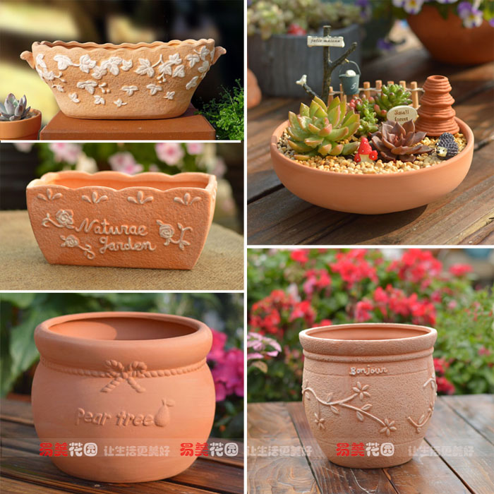 易美花园中心园艺盆栽群生细质