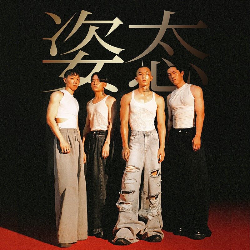 官方正版 傻子与白痴 姿态 傻白乐团 第三张专辑 带编码版 CD唱片