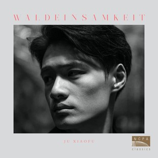 正版 国家大剧院 NCPA Classics 鞠小夫演奏 林中孤寂 2CD唱片