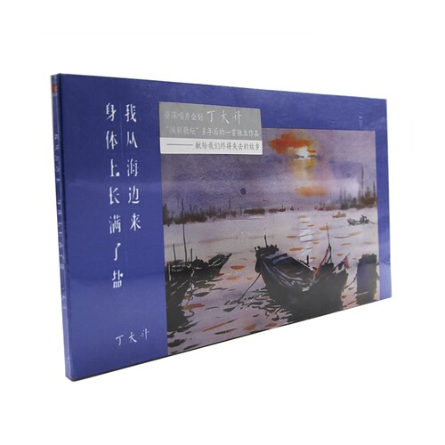 官方正版 丁太升专辑 我从海边来，身体上长满了盐 民谣唱片CD碟