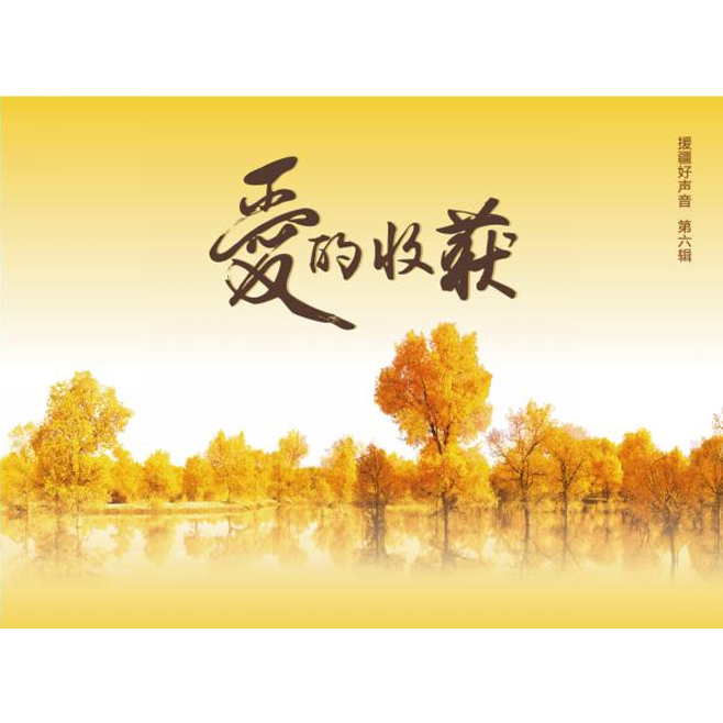 官方正版  爱的收获 援疆好声音第六辑 CD 林宝/穆明江/李璇合集
