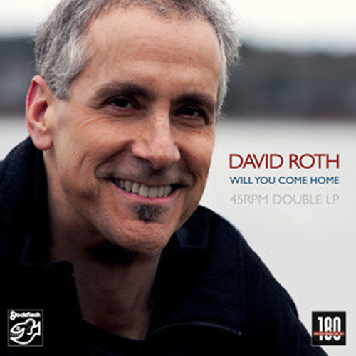 原装进口 大卫罗斯 你会回家吗 2LP黑胶唱片45转 David Roth